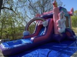 IMG 6457201 1729690257 Wet Bounce House Party Package