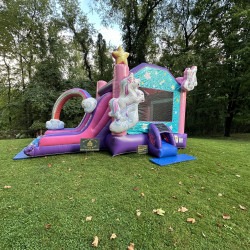 Unicorn Inflatable with Slide