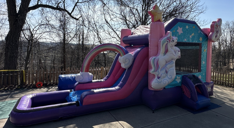 Unicorn Combo Water Slide