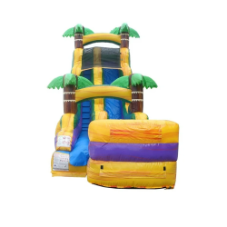 1820ft20W202 1750033937 18' Tropical Water Slide