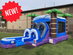 Tropical Combo Bounce House