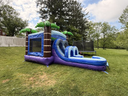 IMG 7852 1781401111 Tropical Combo Bounce House (DRY)