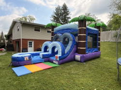 IMG 7853 1781401111 Tropical Combo Bounce House (DRY)